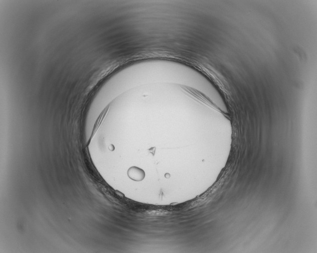 X0000111640158200908281205