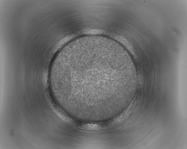 X0000111640159200908281205
