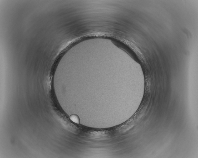 X0000111640160200908281205