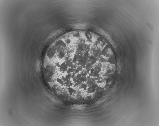 X0000111640161200908281205