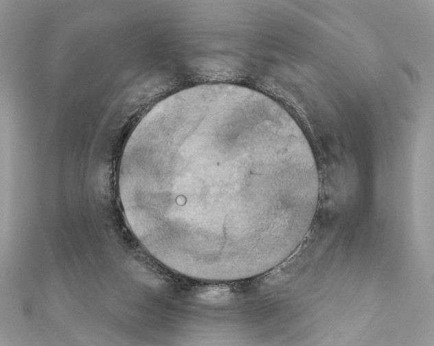 X0000111640162200908281205