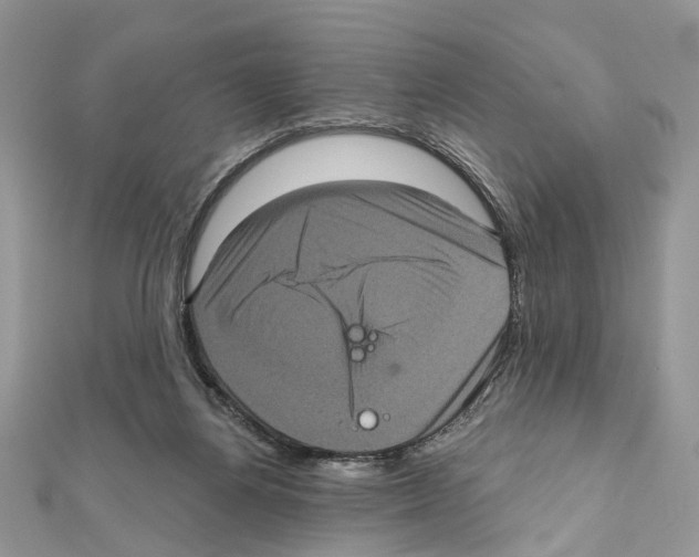 X0000111640164200908281205