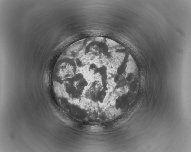 X0000111640165200908281205
