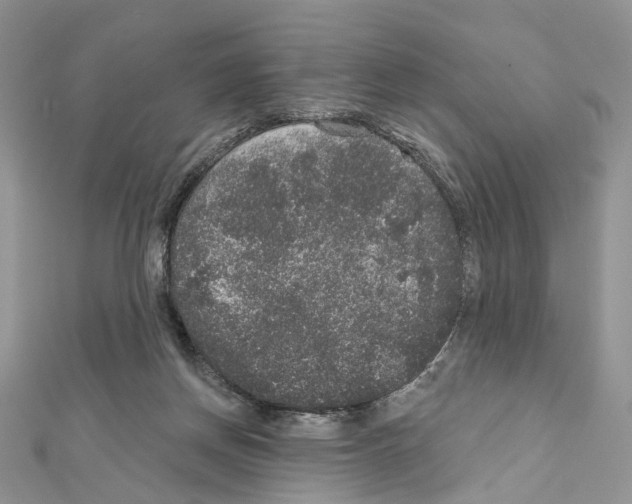 X0000111640166200908281205
