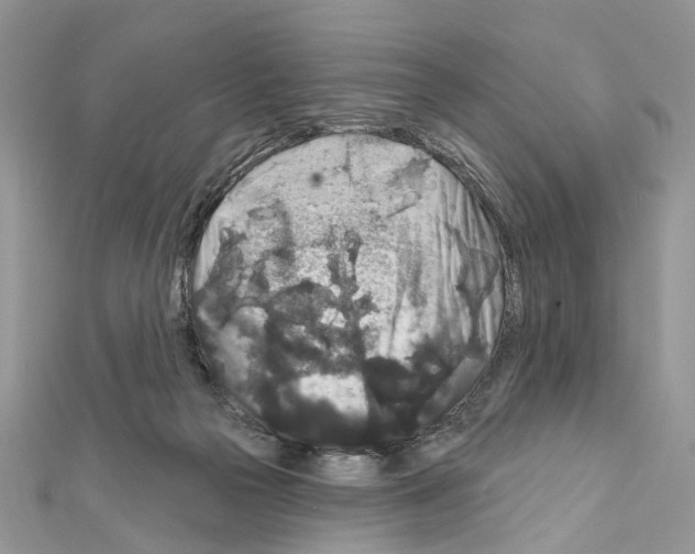 X0000111640169200908281205