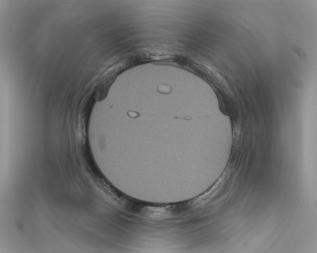 X0000111640170200908281205