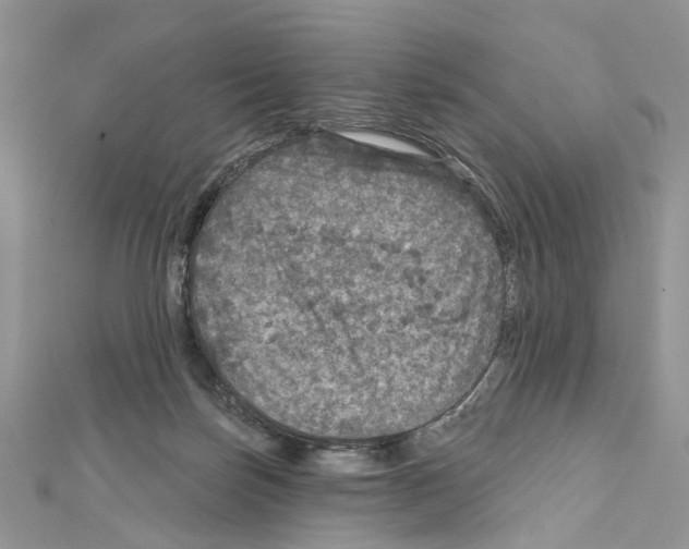 X0000111640171200908281205