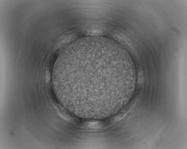 X0000111640173200908281205
