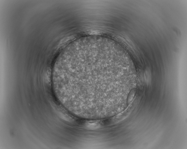 X0000111640175200908281205