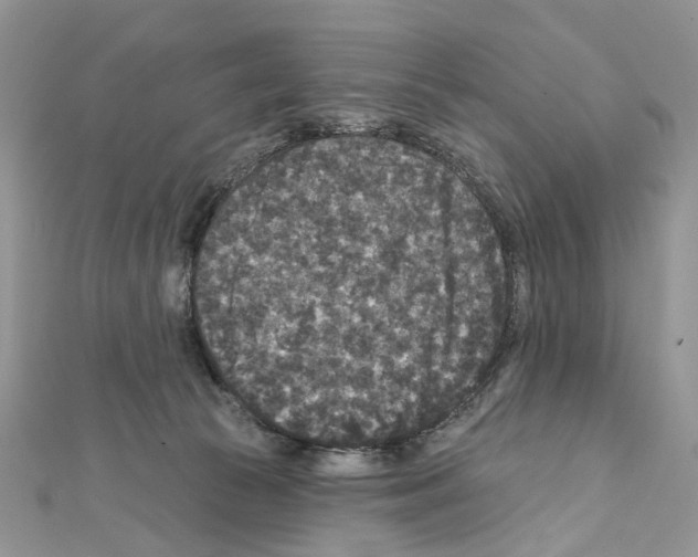 X0000111640177200908281205
