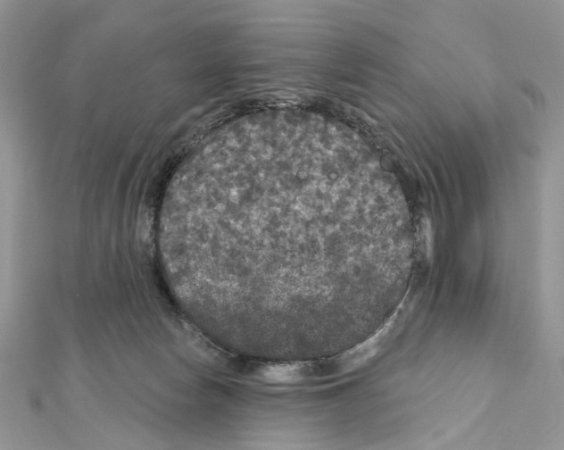 X0000111640178200908281205