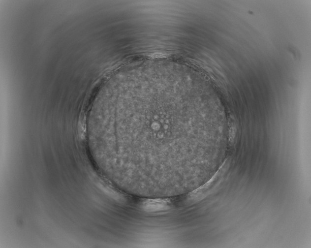 X0000111640179200908281205