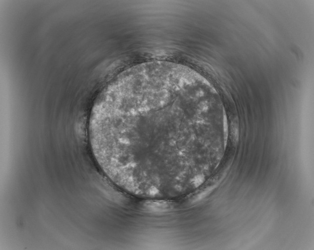 X0000111640181200908281205