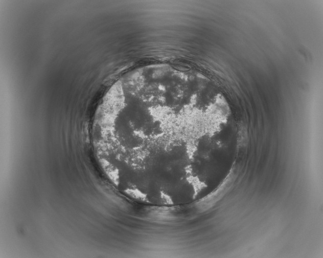 X0000111640182200908281205