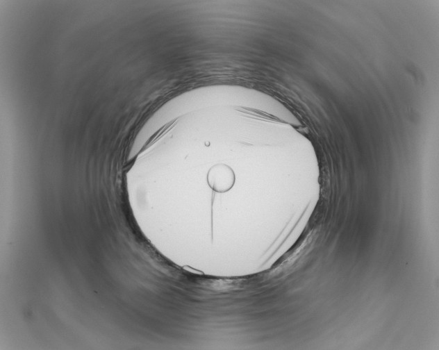 X0000111640184200908281205
