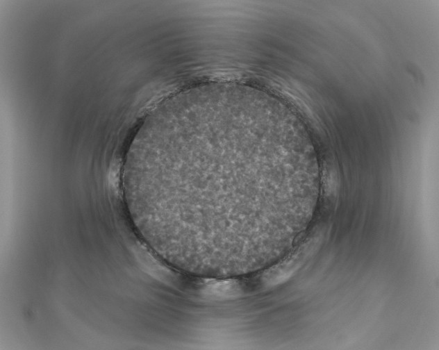 X0000111640185200908281205