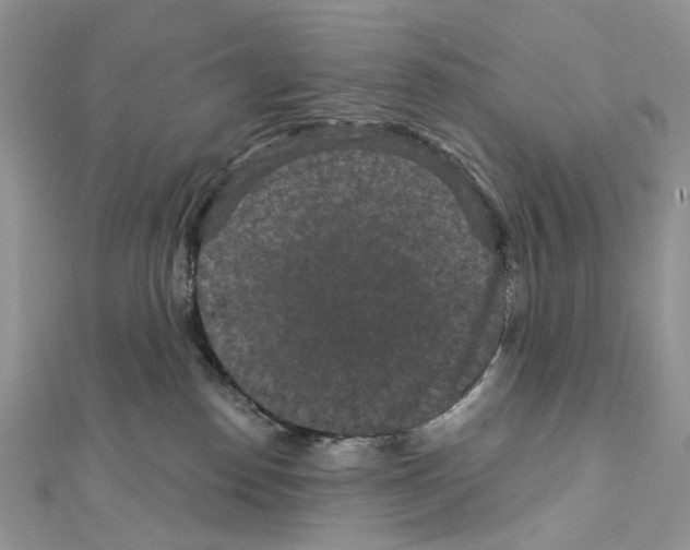 X0000111640186200908281205