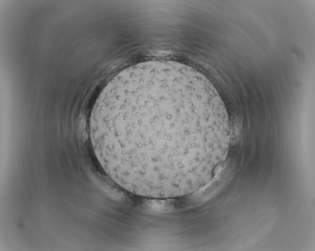 X0000111640187200908281205