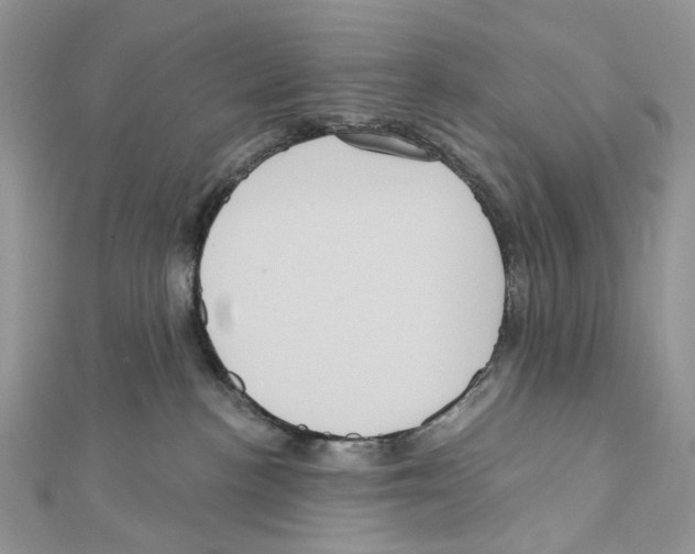 X0000111640188200908281205