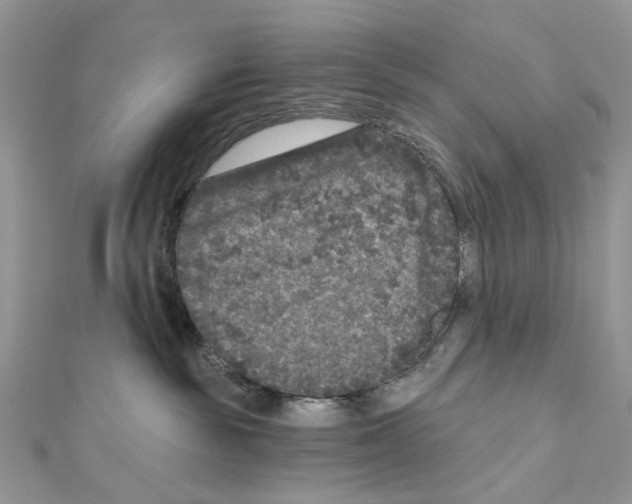 X0000111640189200908281205