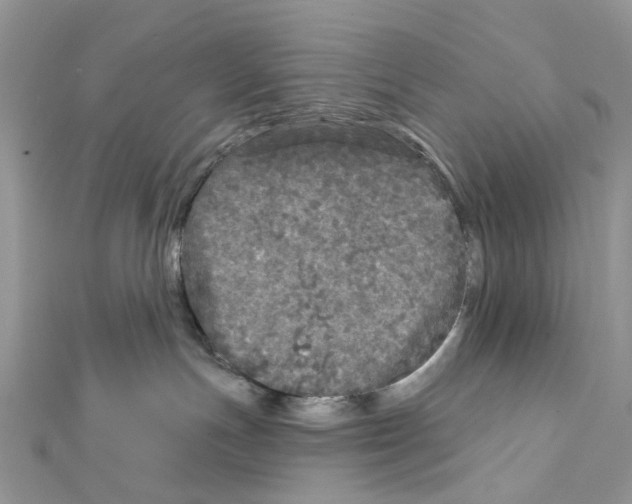 X0000111640191200908281205