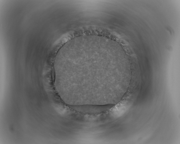 X0000111640192200908281205