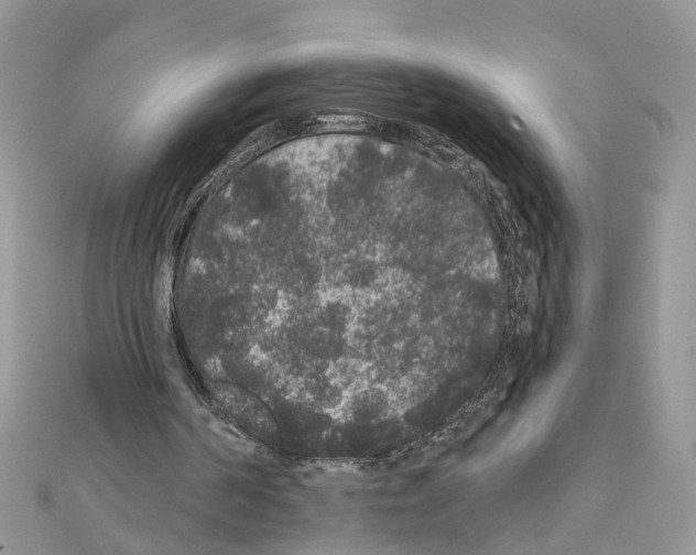 X0000111640194200908281204