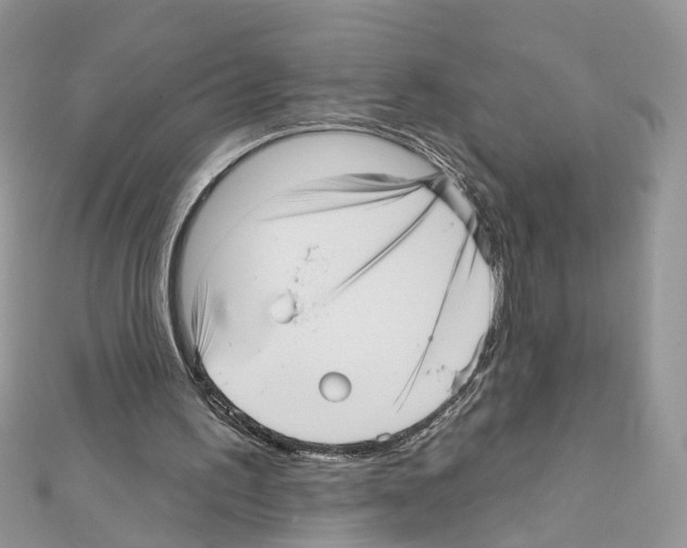 X0000111640195200908281204
