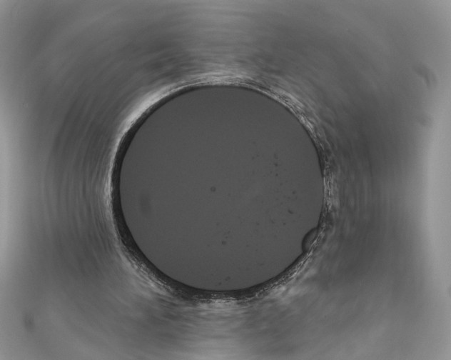 X0000111640196200908281204