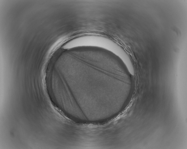 X0000111640197200908281204