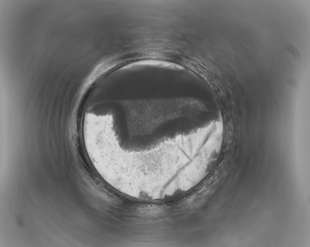 X0000111640198200908281204