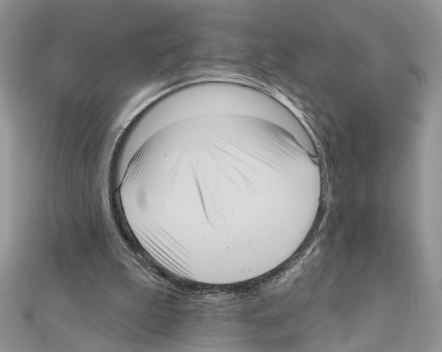 X0000111640199200908281204