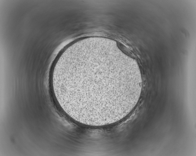 X0000111640200200908281204
