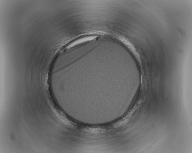X0000111640201200908281204