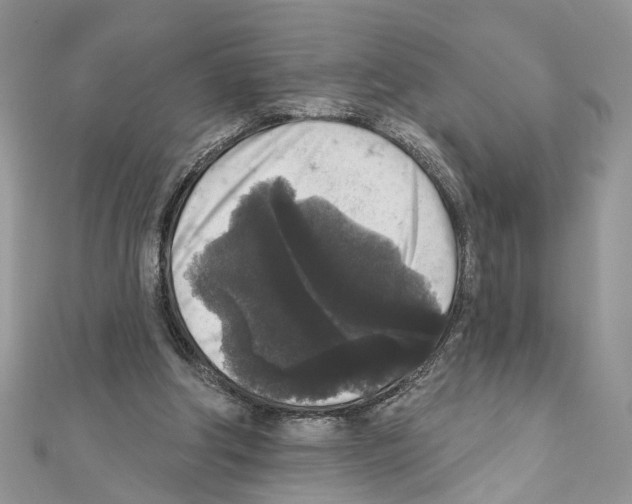 X0000111640202200908281204