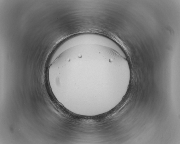 X0000111640203200908281204
