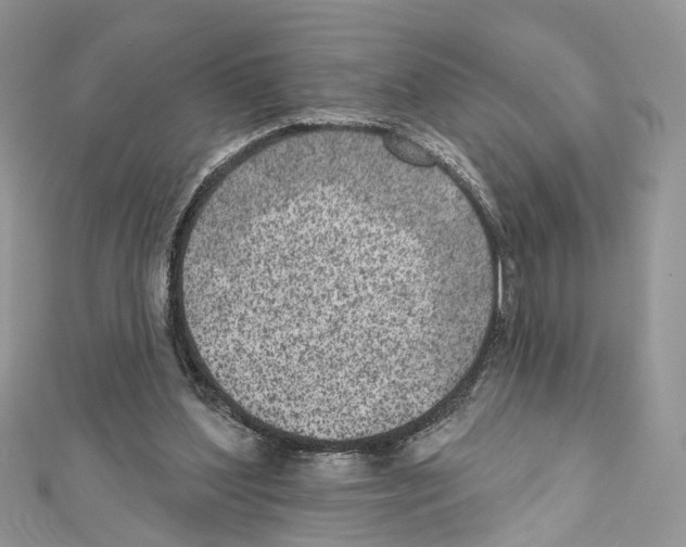 X0000111640204200908281204
