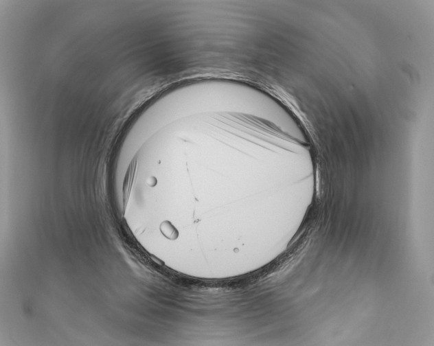 X0000111640205200908281204