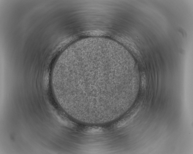 X0000111640206200908281204