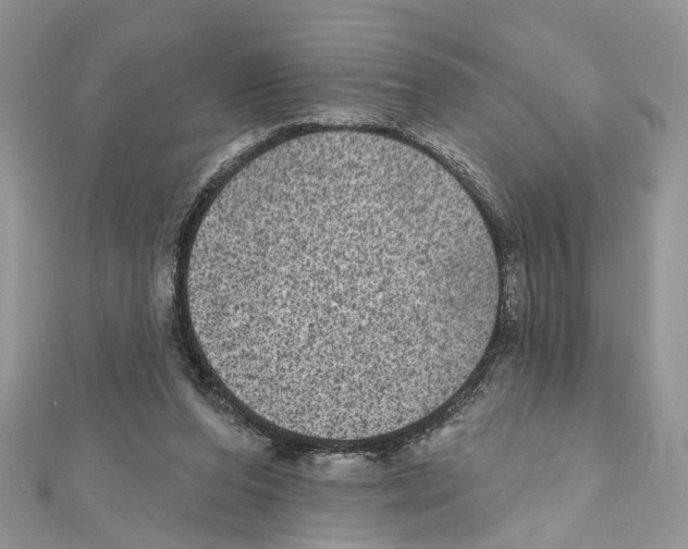 X0000111640208200908281204