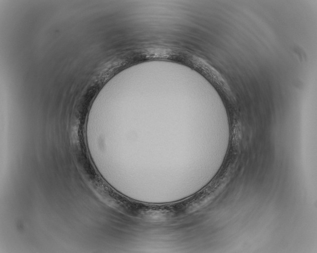 X0000111640209200908281204