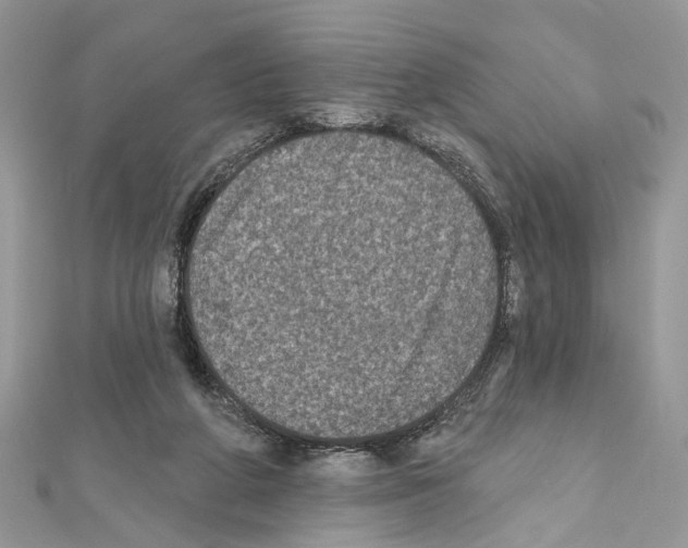 X0000111640210200908281204