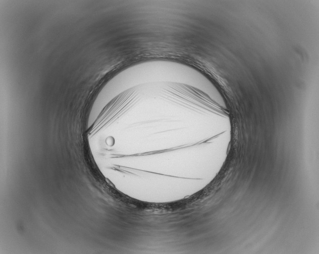 X0000111640211200908281204