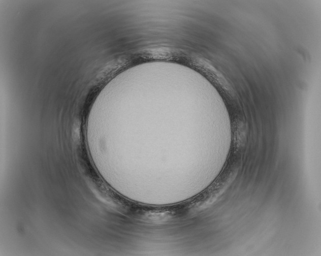 X0000111640213200908281204