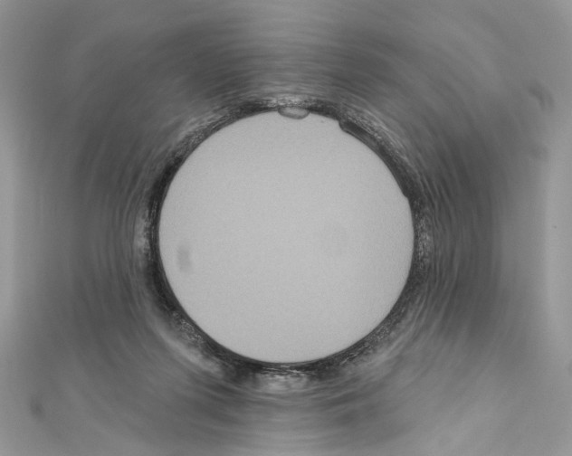 X0000111640215200908281204