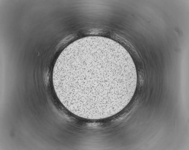 X0000111640216200908281204