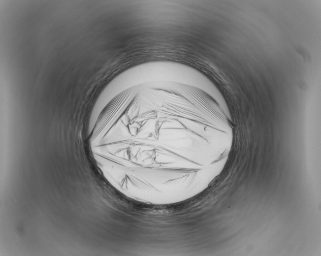 X0000111640217200908281204