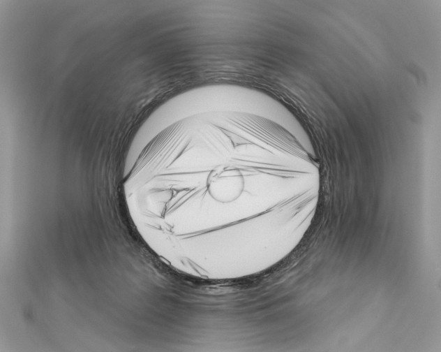 X0000111640219200908281204