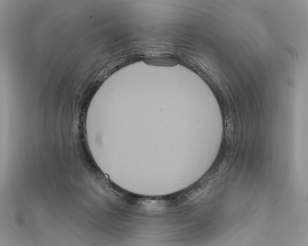 X0000111640221200908281204