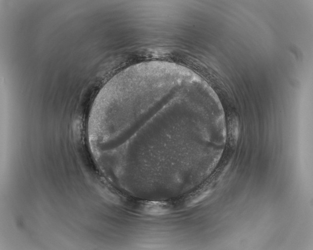 X0000111640222200908281204